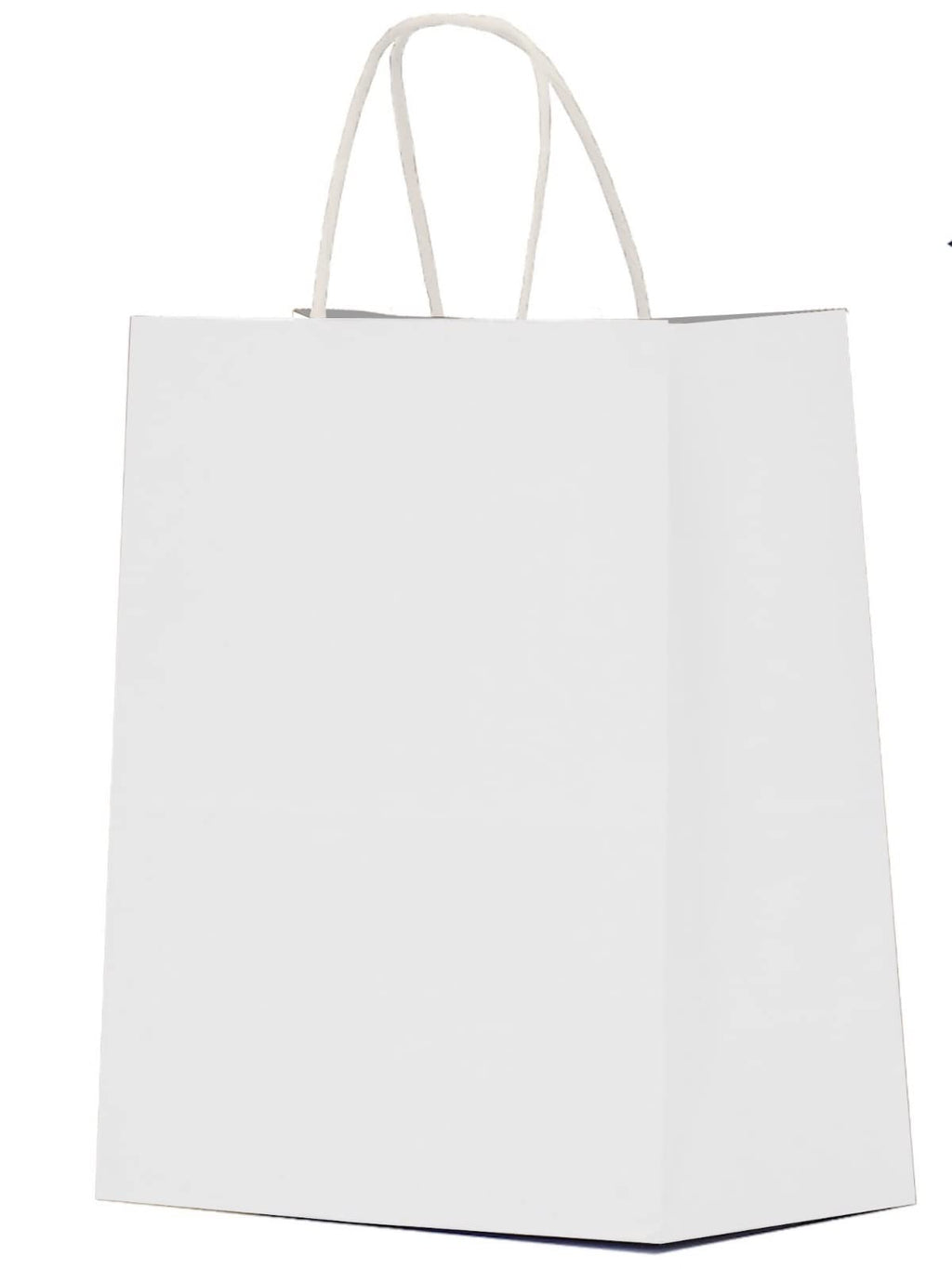 10 x 5 x 13-Inch Kraft Paper Shopping Bags for Party Favors