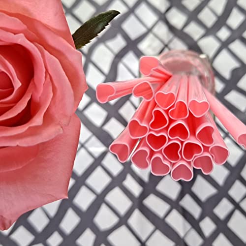 Red & Pink Heart-Shaped Drinking Straws for Parties