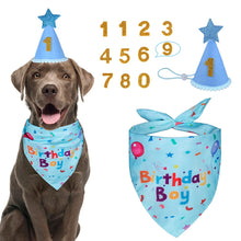 Dog Birthday Bandana & Party Hat Set with Number Charms