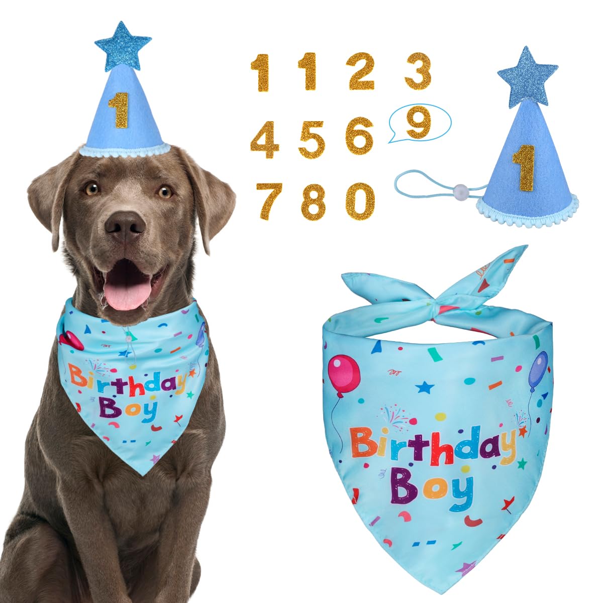 Dog Birthday Bandana & Party Hat Set with Number Charms