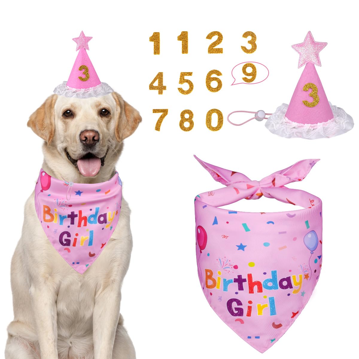 Dog Birthday Bandana & Party Hat Set with Number Charms