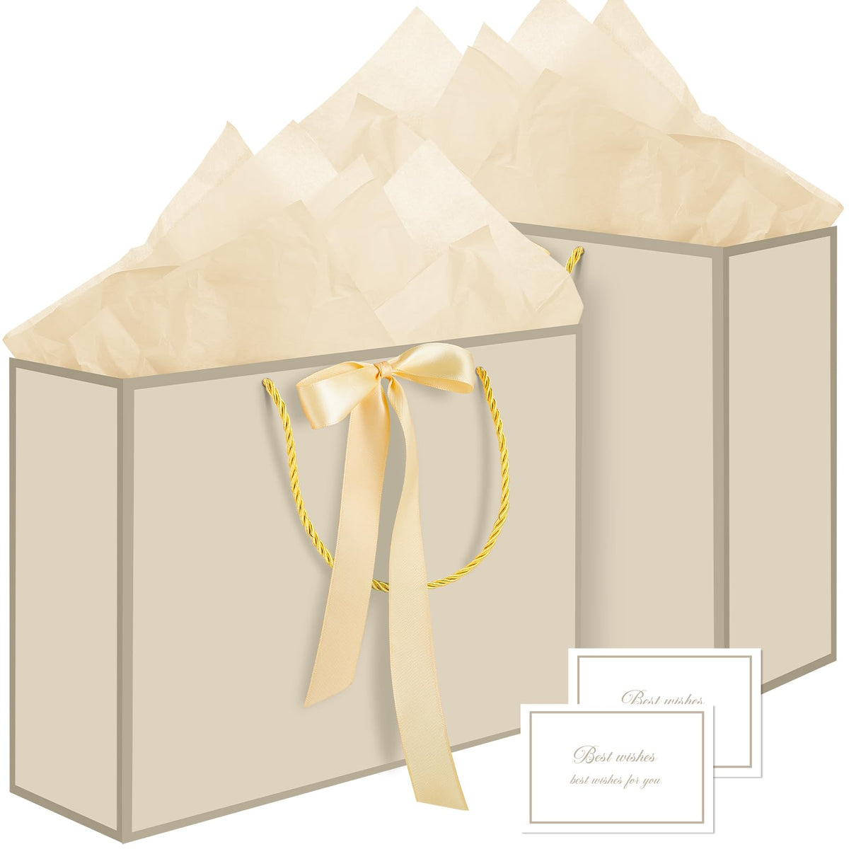 2-Piece Medium Gift Bag Set with Tissue Paper & Cards