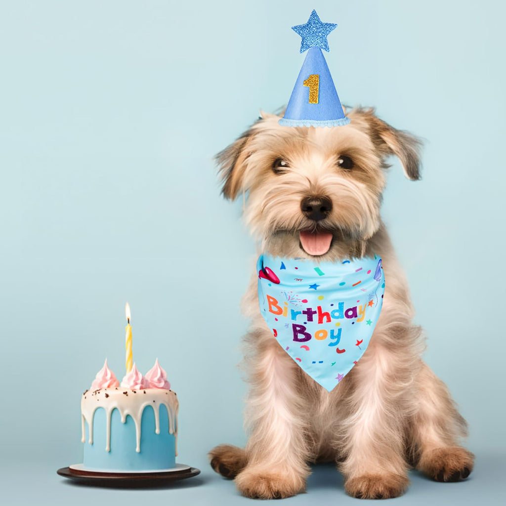 Dog Birthday Bandana & Party Hat Set with Number Charms