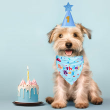 Dog Birthday Bandana & Party Hat Set with Number Charms