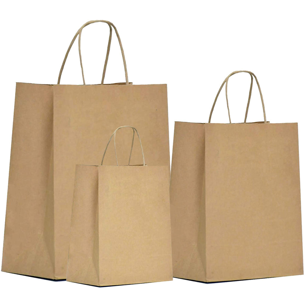 10 x 5 x 13-Inch Kraft Paper Shopping Bags for Party Favors