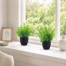 Small Black Faux Potted Plants for Bathroom & Home Decor