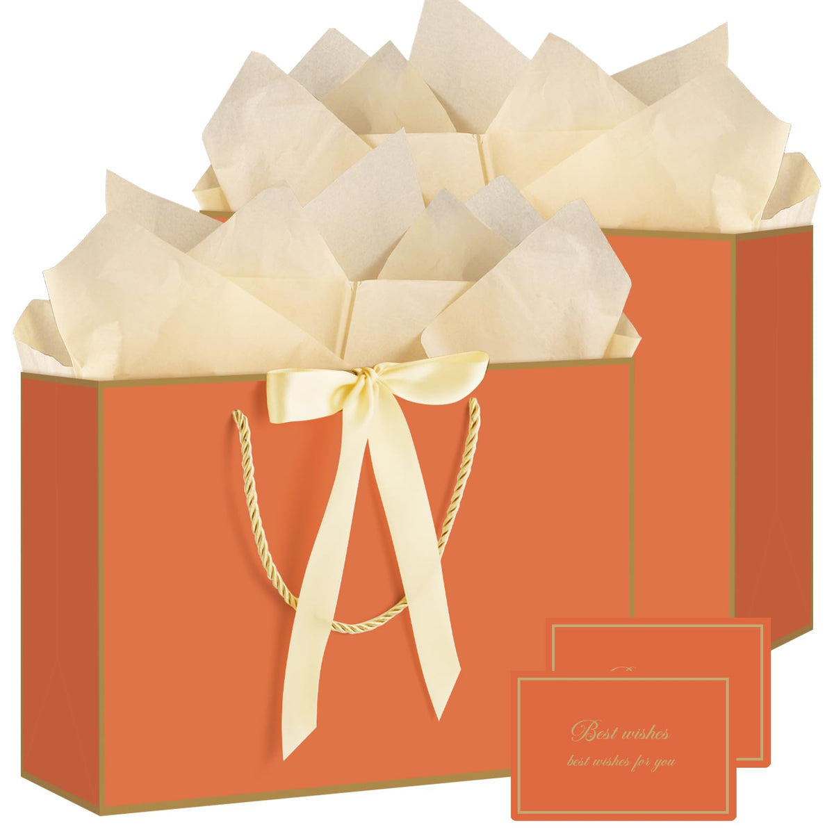 2-Piece Medium Gift Bag Set with Tissue Paper & Cards
