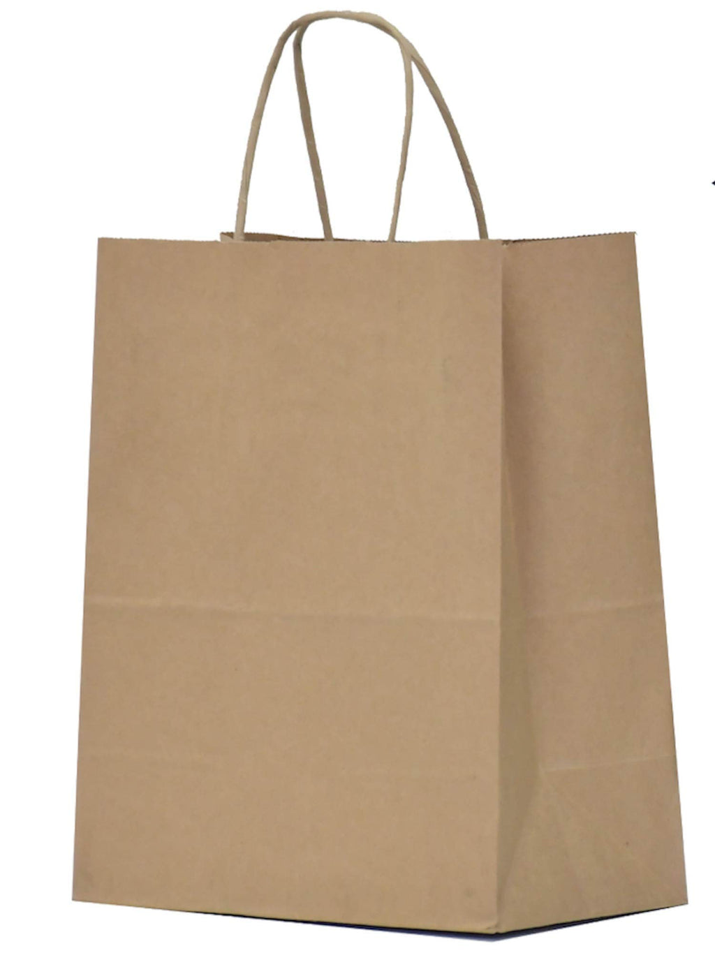 10 x 5 x 13-Inch Kraft Paper Shopping Bags for Party Favors