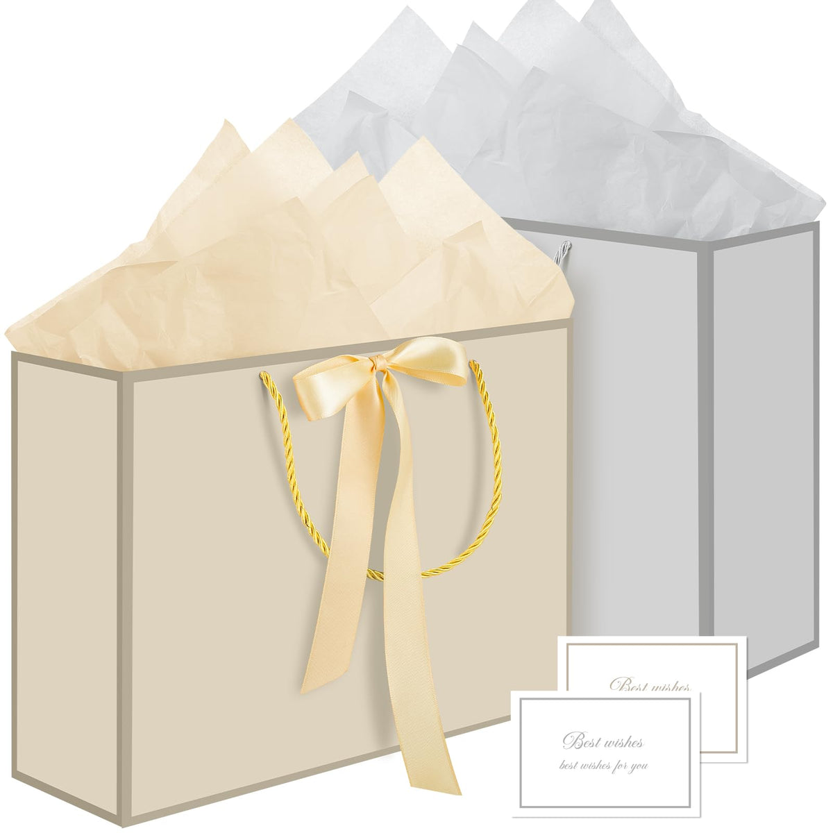 2-Piece Medium Gift Bag Set with Tissue Paper & Cards