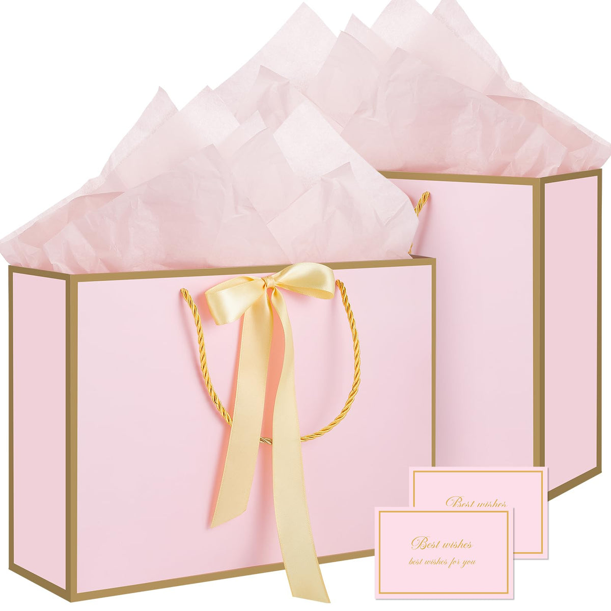 2-Piece Medium Gift Bag Set with Tissue Paper & Cards