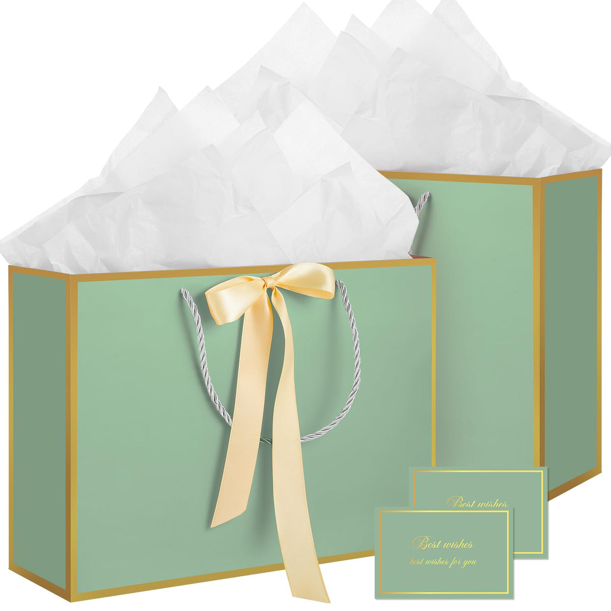 2-Piece Medium Gift Bag Set with Tissue Paper & Cards