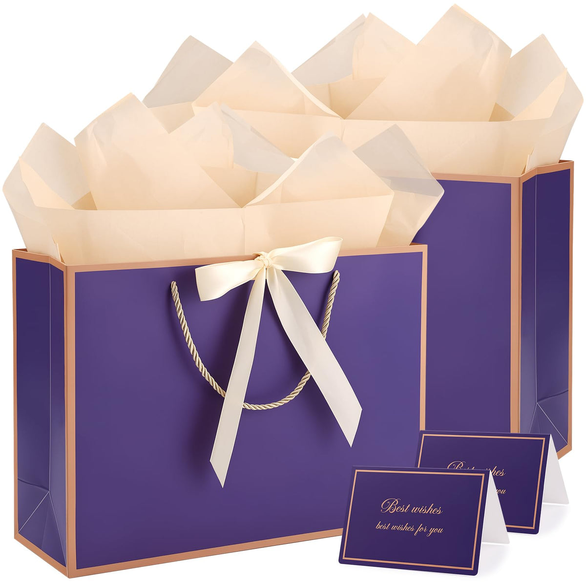 2-Piece Medium Gift Bag Set with Tissue Paper & Cards