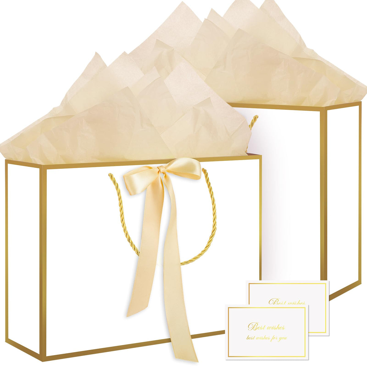 2-Piece Medium Gift Bag Set with Tissue Paper & Cards