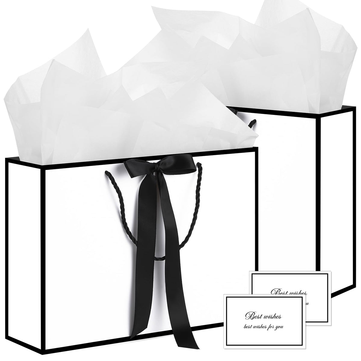2-Piece Medium Gift Bag Set with Tissue Paper & Cards