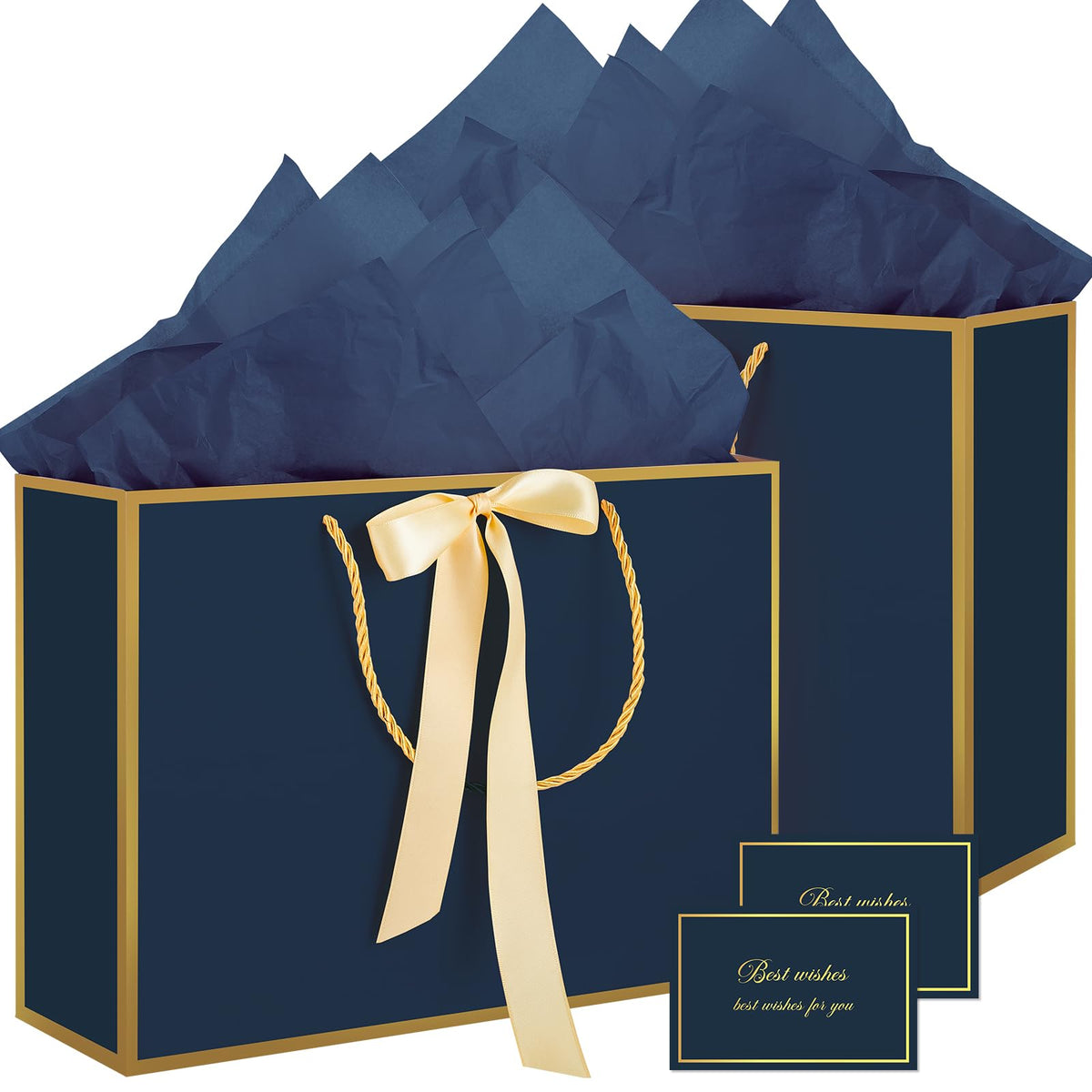 2-Piece Medium Gift Bag Set with Tissue Paper & Cards