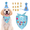 Dog Birthday Bandana & Party Hat Set with Number Charms