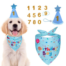 Dog Birthday Bandana & Party Hat Set with Number Charms