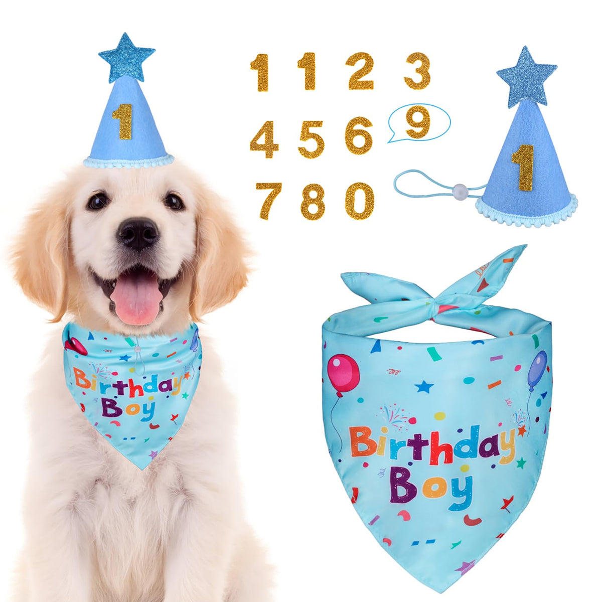 Dog Birthday Bandana & Party Hat Set with Number Charms