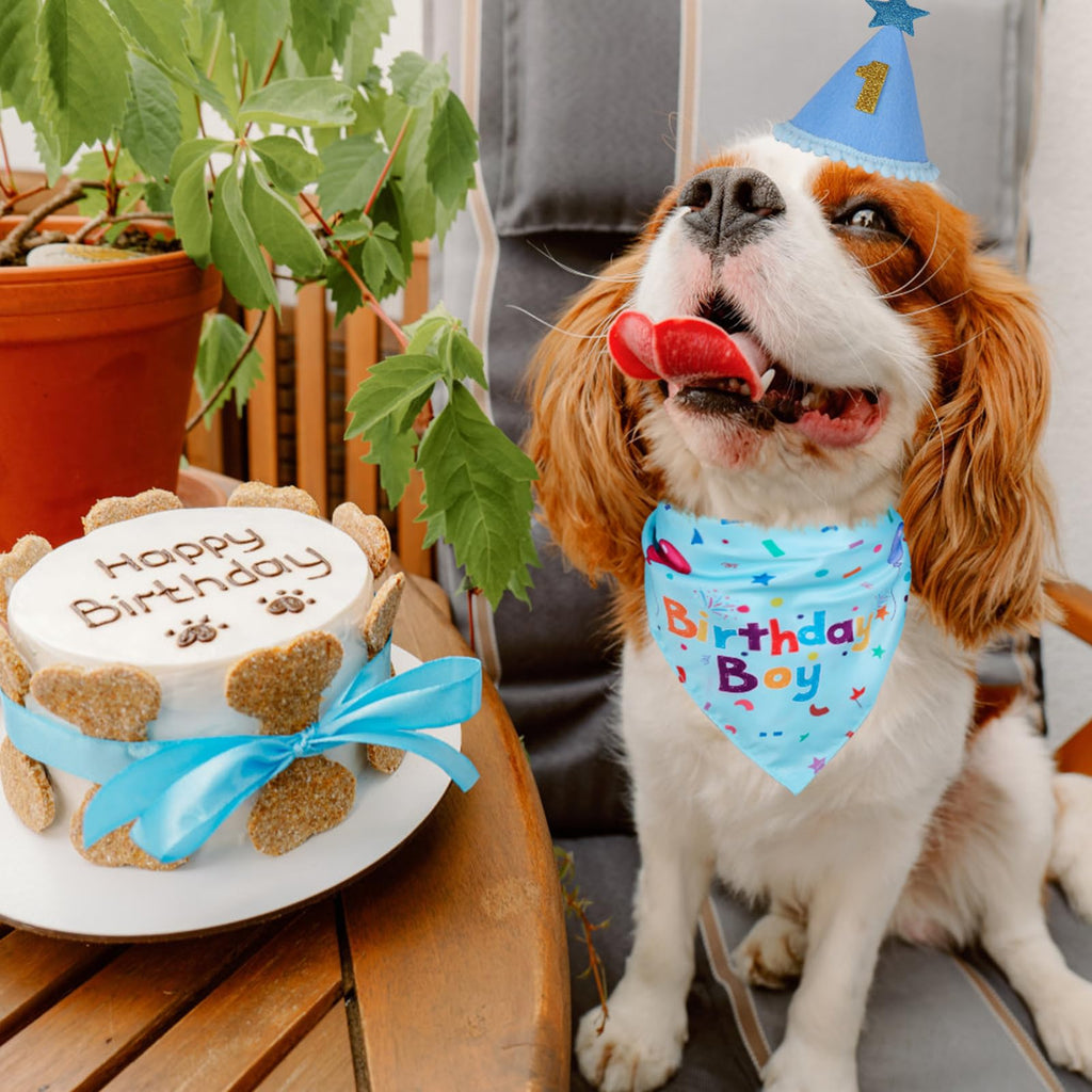 Dog Birthday Bandana & Party Hat Set with Number Charms