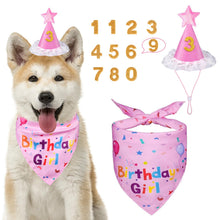Dog Birthday Bandana & Party Hat Set with Number Charms