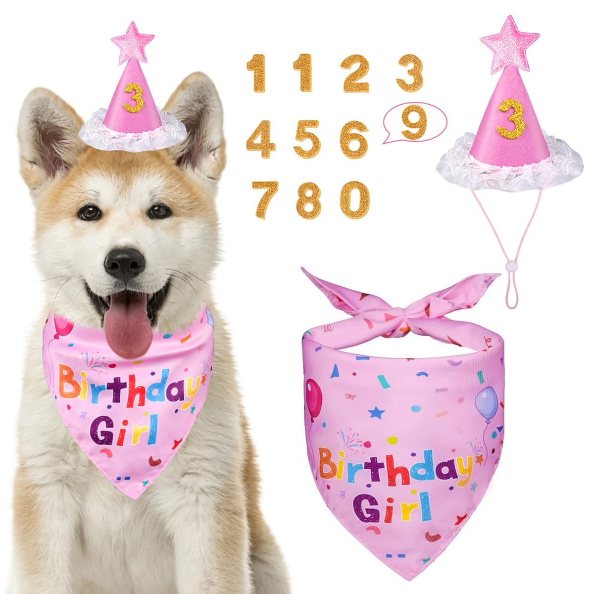 Dog Birthday Bandana & Party Hat Set with Number Charms