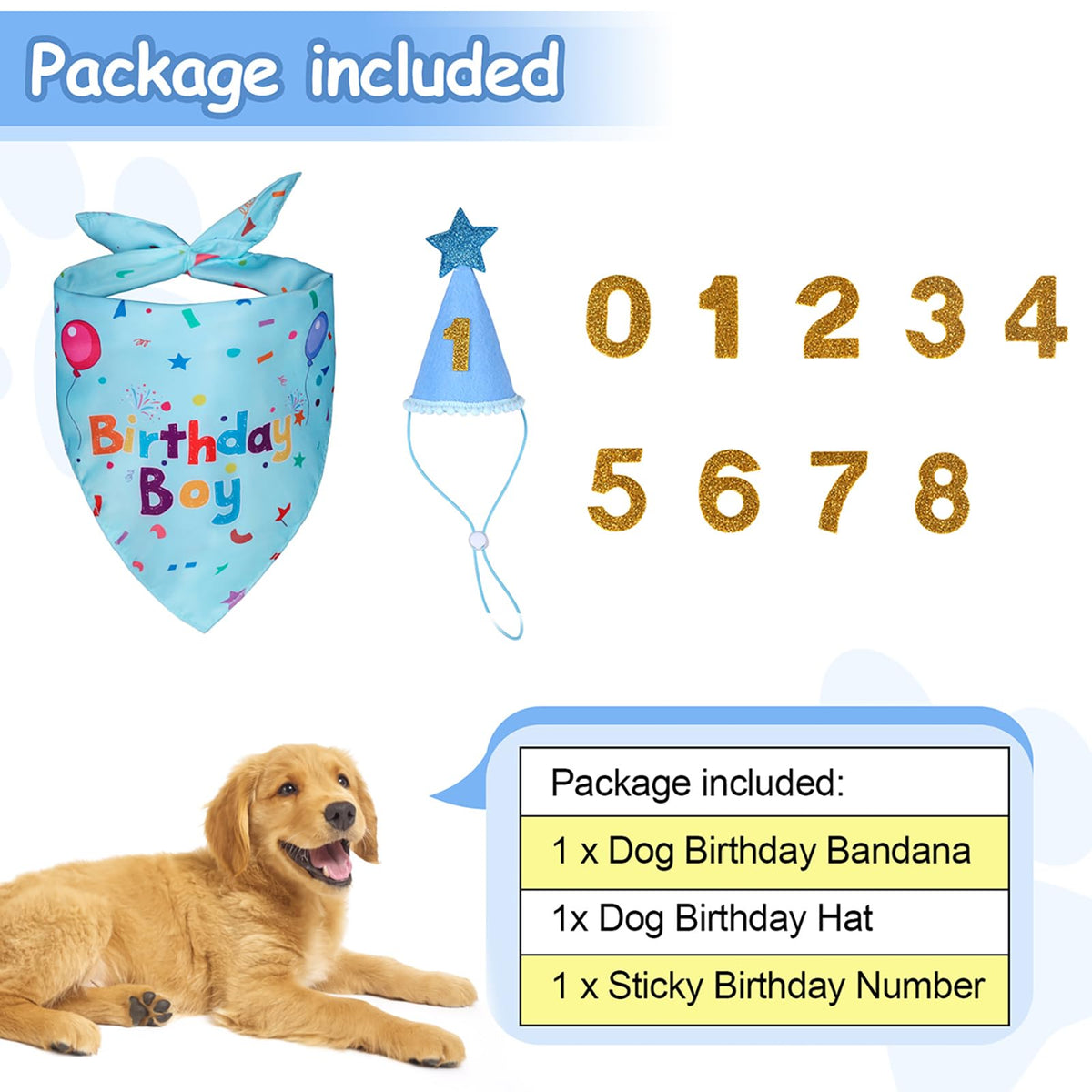 Dog Birthday Bandana & Party Hat Set with Number Charms