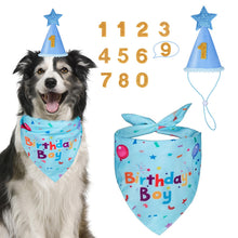 Dog Birthday Bandana & Party Hat Set with Number Charms