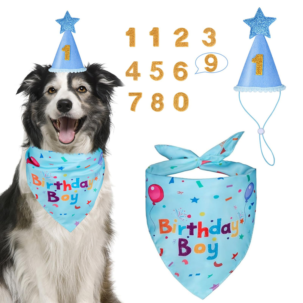 Dog Birthday Bandana & Party Hat Set with Number Charms