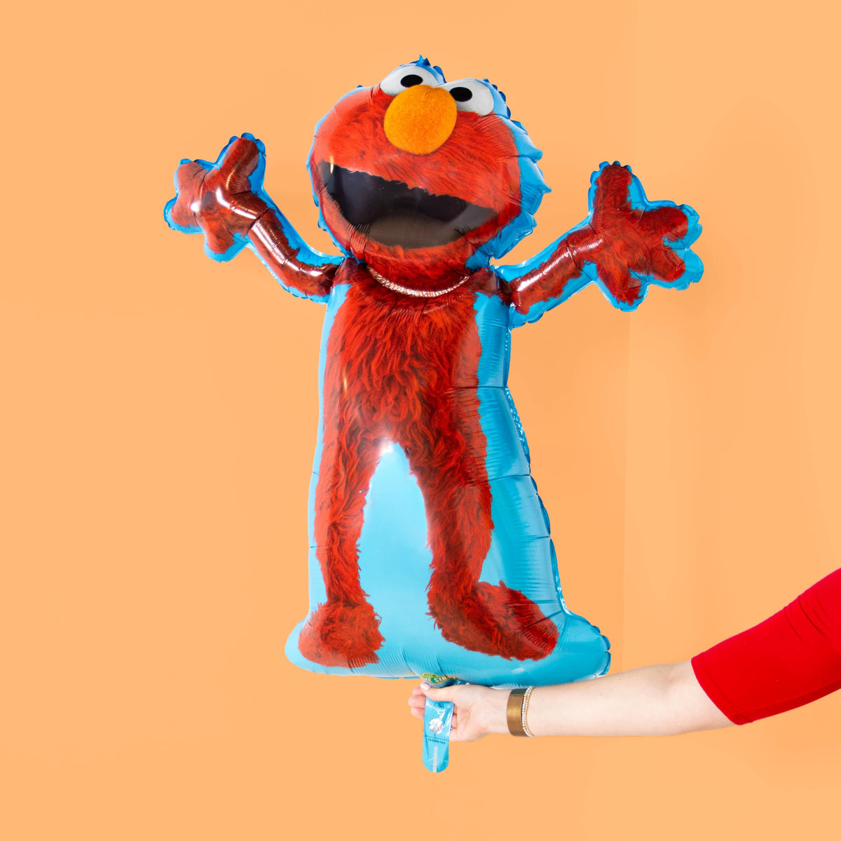 Sesame Street Elmo & Cookie Monster 2nd Birthday Balloon Set