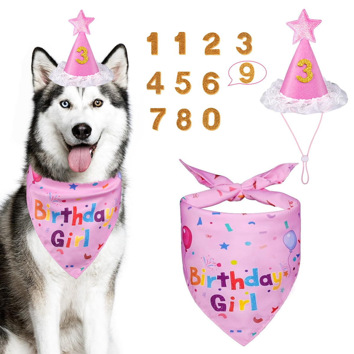 Dog Birthday Bandana & Party Hat Set with Number Charms