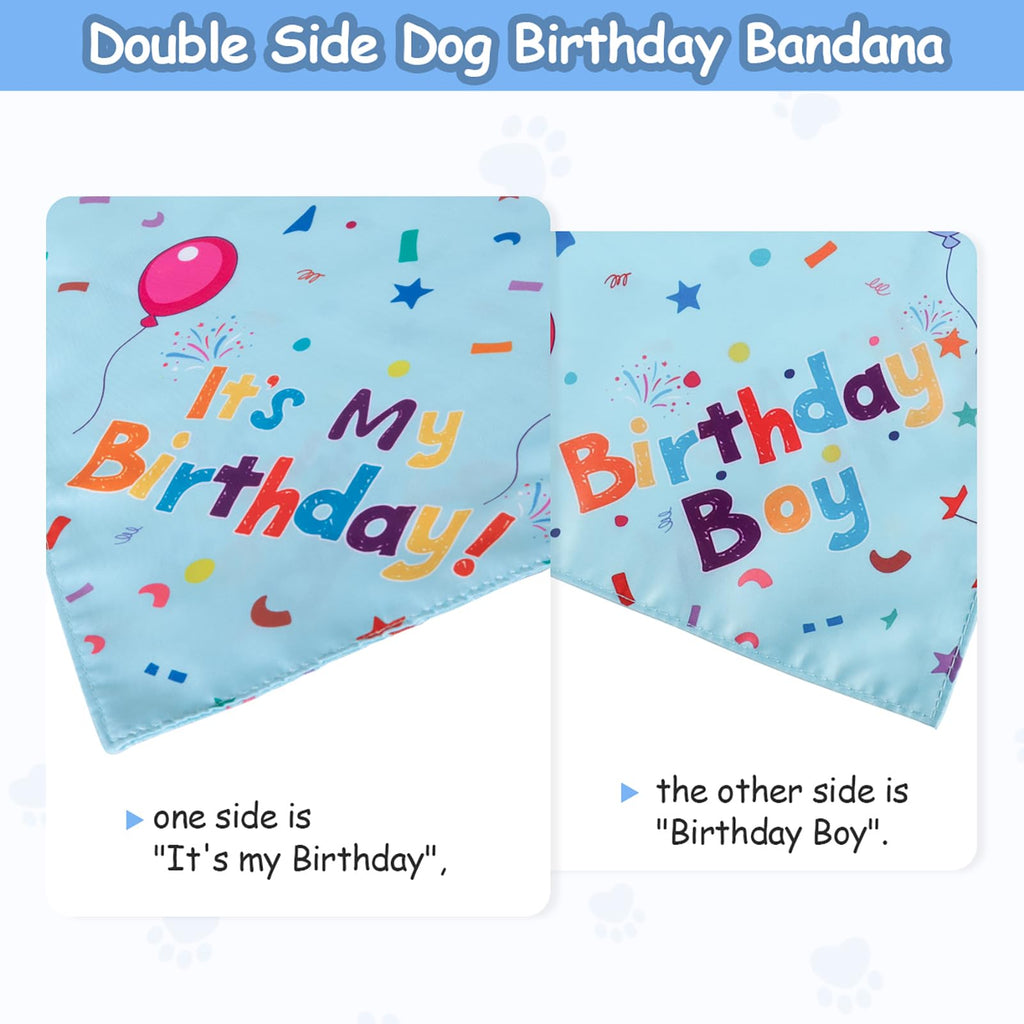 Dog Birthday Bandana & Party Hat Set with Number Charms