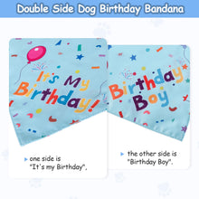 Dog Birthday Bandana & Party Hat Set with Number Charms