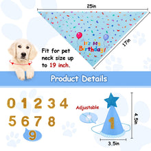 Dog Birthday Bandana & Party Hat Set with Number Charms