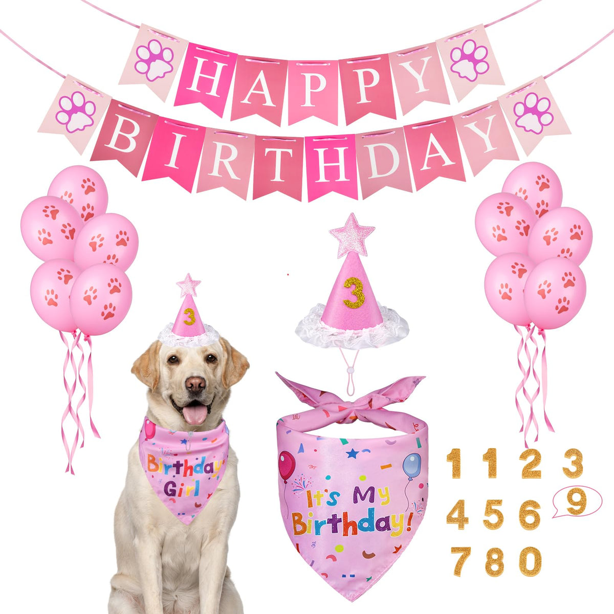 Dog Birthday Bandana & Party Hat Set with Number Charms