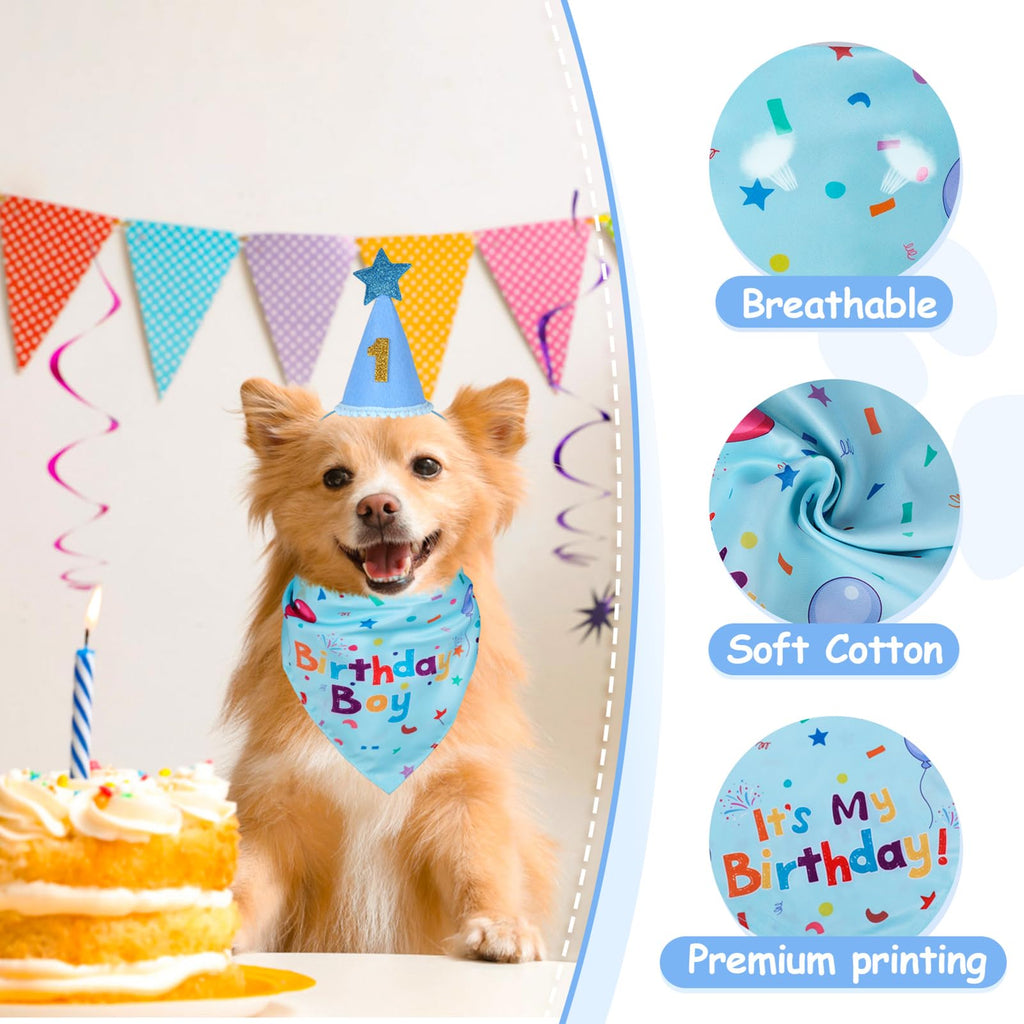 Dog Birthday Bandana & Party Hat Set with Number Charms