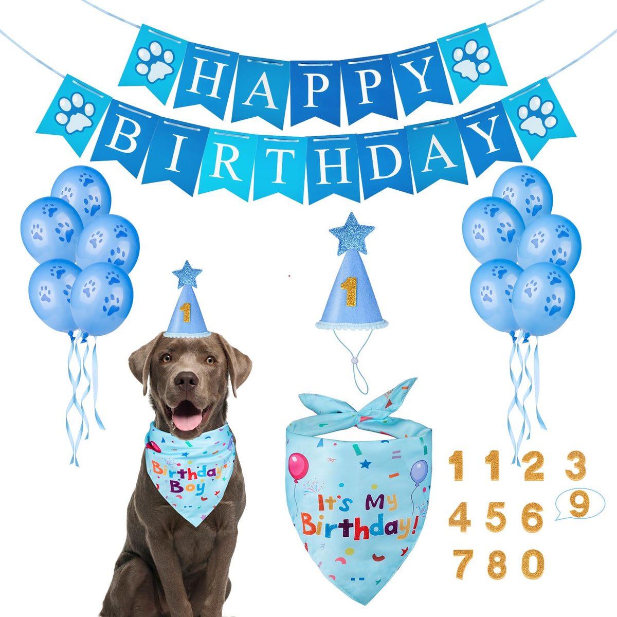 Dog Birthday Bandana & Party Hat Set with Number Charms