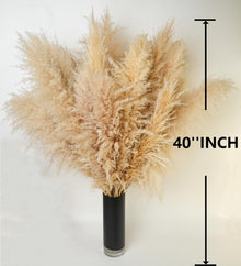 Natural Pampas Grass Bouquet for Wedding & Party Decor