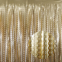 Metallic Tinsel Fringe Backdrop Curtain for Party Events