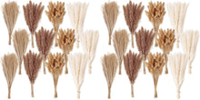 Natural Pampas Grass Bouquet for Wedding & Party Decor