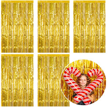 Metallic Foil Fringe Backdrop Curtain for Party Events