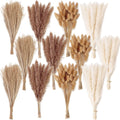 Natural Pampas Grass Bouquet for Wedding & Party Decor